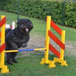 Samen gezellig bezig zijn